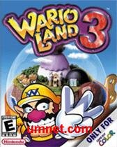 game pic for Wario Land 3
